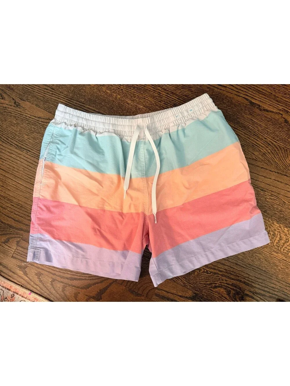 Chubbies Flavor Savors Pastel Stripe Swim Trunk Men's Medium Stretch Shorts